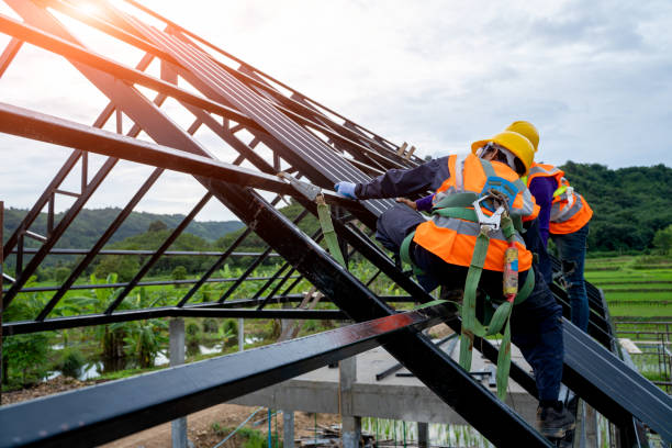 Best Storm Damage Roof Repair  in Delano, MN