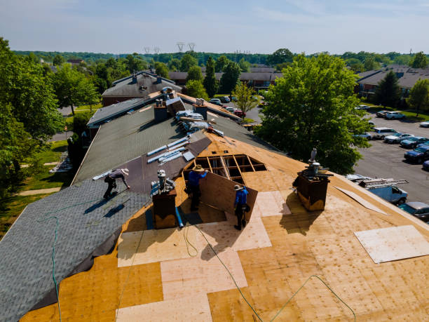 Residential Roof Replacement in Delano, MN